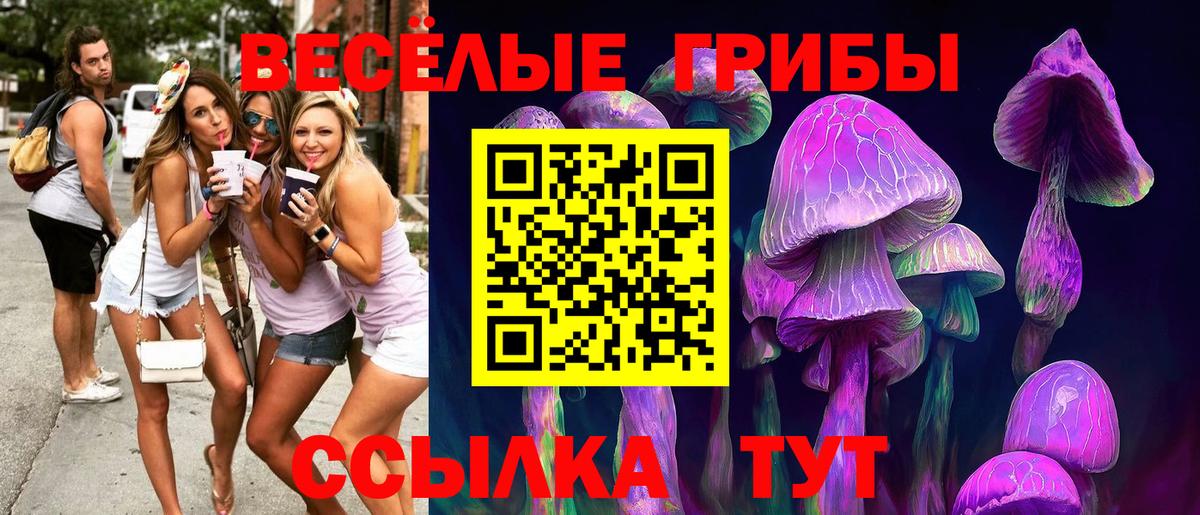 Псилоцибиновые грибы мухоморы Качканар