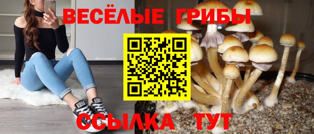 Галлюциногенные грибы GOLDEN TEACHER  Вход с VPN  как найти закладки  Качканар 